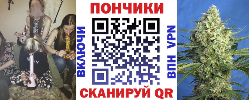 Каннабис SATIVA & INDICA  продажа наркотиков  Калач 